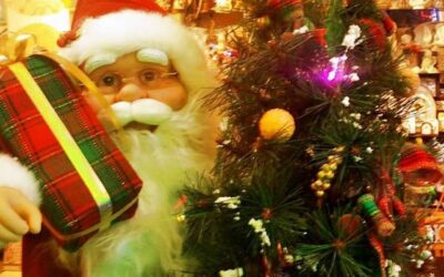 Program special Sărbători Iarnă